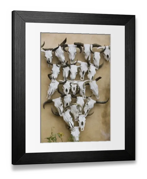 Framed Print : USA, North America, Texas Framed Print : USA, North America, Texas