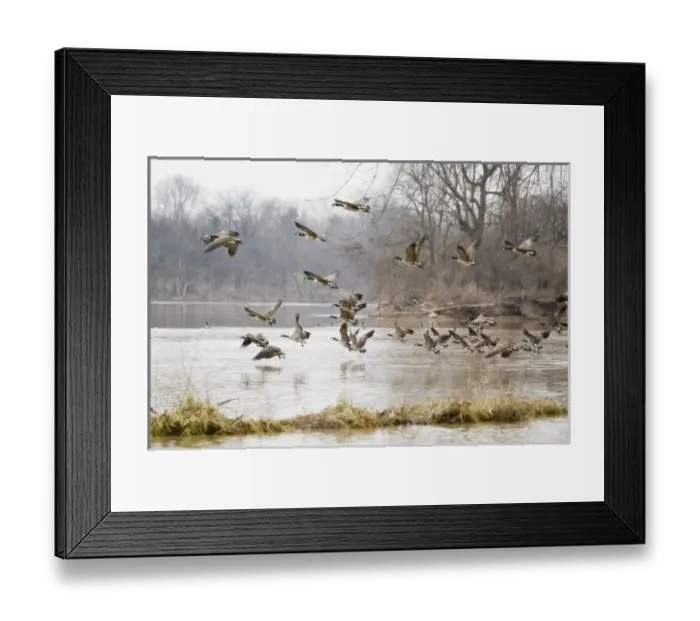 Framed Print : USA, North America, Ohio Framed Print : USA, North America, Ohio