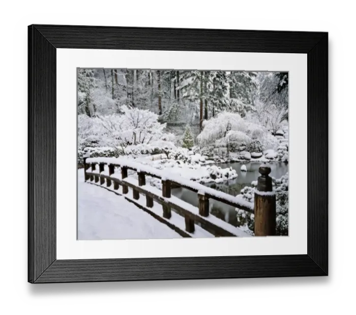 Framed Print : USA, Oregon, Portland. Winter snowfall on the Japanese Garden Framed Print : USA, Oregon, Portland. Winter snowfall on the Japanese Garden