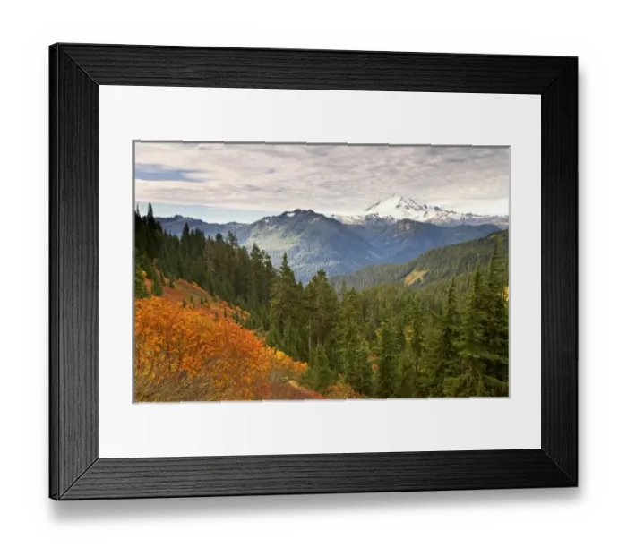 Framed Print : USA, Washington, Mount Baker Wilderness. Scenic view from the Tomyhoi Lake Trail Framed Print : USA, Washington, Mount Baker Wilderness. Scenic view from the Tomyhoi Lake Trail