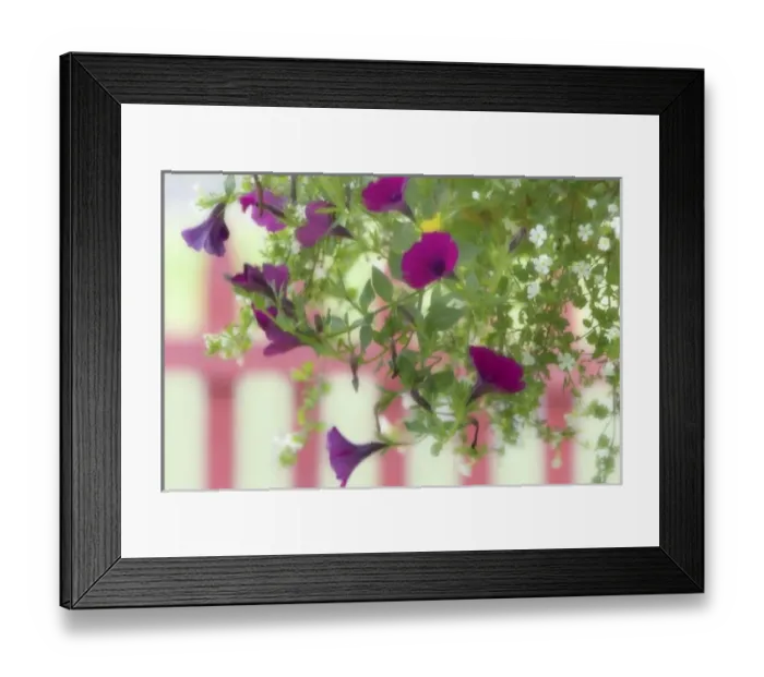 Framed Print : USA, North America, Washington