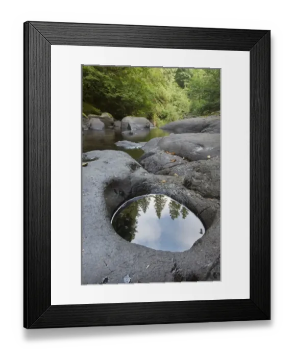 Framed Print : Reflections in Sweet Creek, Oregon, USA Framed Print : Reflections in Sweet Creek, Oregon, USA