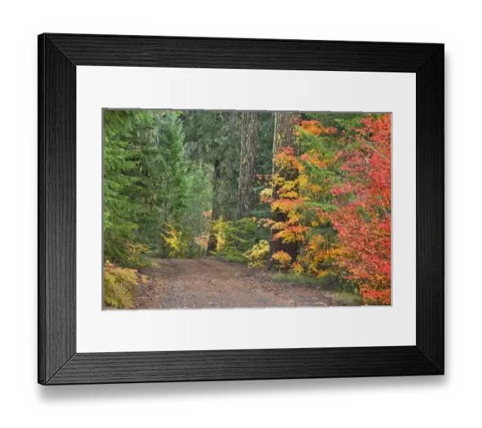 Framed Print : USA, North America, Oregon