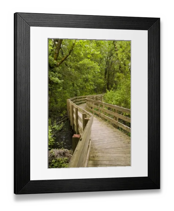 Framed Print : USA, North America, Oregon