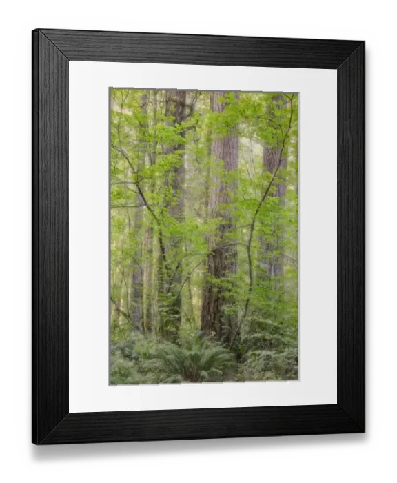 Framed Print : USA, North America, Washington Framed Print : USA, North America, Washington