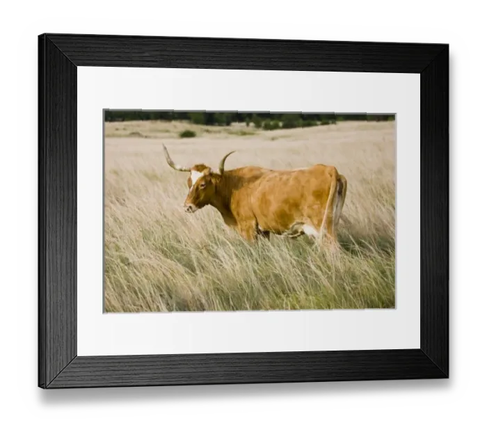 Framed Print : USA, North America, Oklahoma Framed Print : USA, North America, Oklahoma