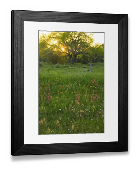 Framed Print : USA, North America, Texas