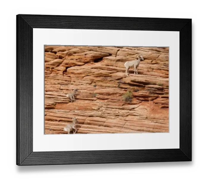 Framed Print : USA, North America, Utah Framed Print : USA, North America, Utah