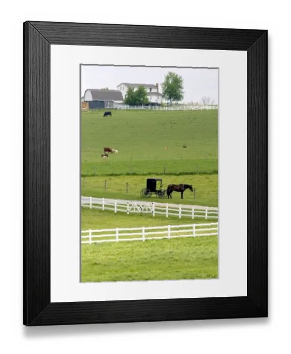 Framed Print : USA, North America, Ohio Framed Print : USA, North America, Ohio