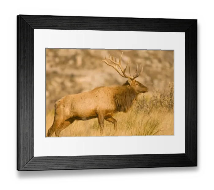 Framed Print : USA, North America, Texas Framed Print : USA, North America, Texas