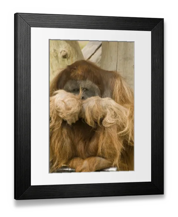 Framed Print : USA, North America, New Mexico