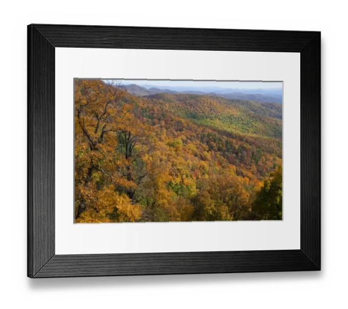 Framed Print : Autumn colors abound in the Pisgah National Forest neat Mt Pisgah in North Carolina