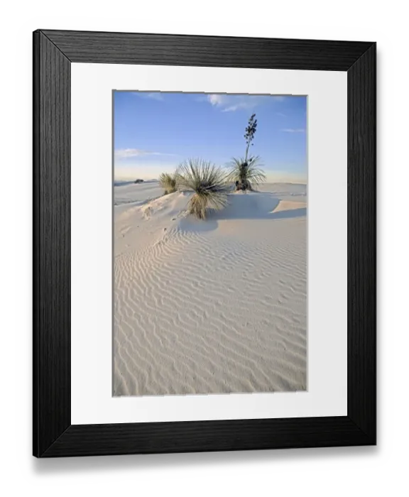 Framed Print : USA, New Mexico, White Sands National Monument situated in the Tularosa Basin of