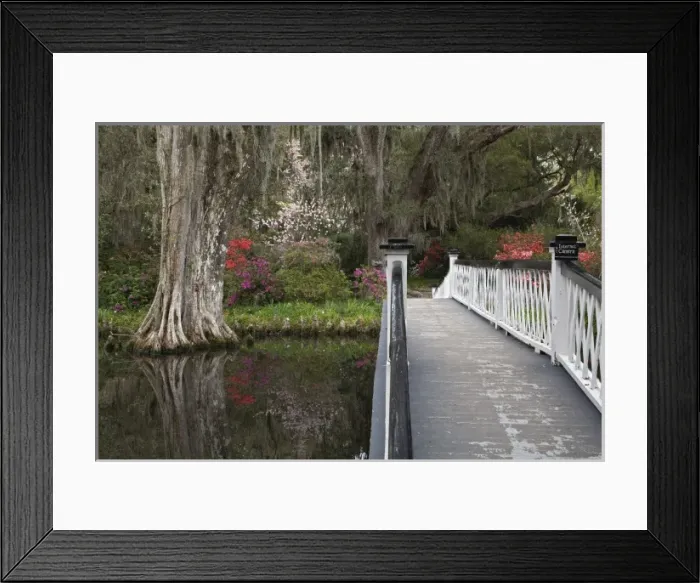 Framed Print : USA, North America, South Carolina