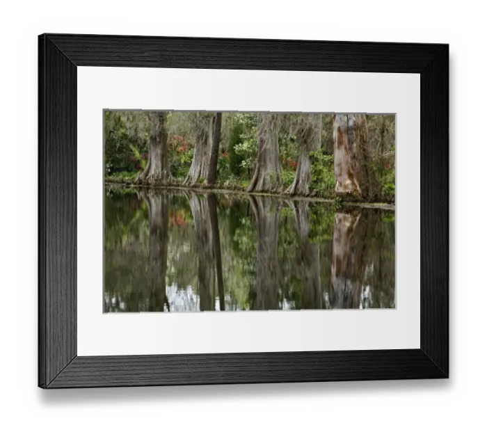 Framed Print : USA, North America, South Carolina Framed Print : USA, North America, South Carolina