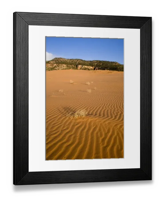 Framed Print : Sand ripples and dunes at Coral Pink Sand Dunes State Park in Utah Framed Print : Sand ripples and dunes at Coral Pink Sand Dunes State Park in Utah