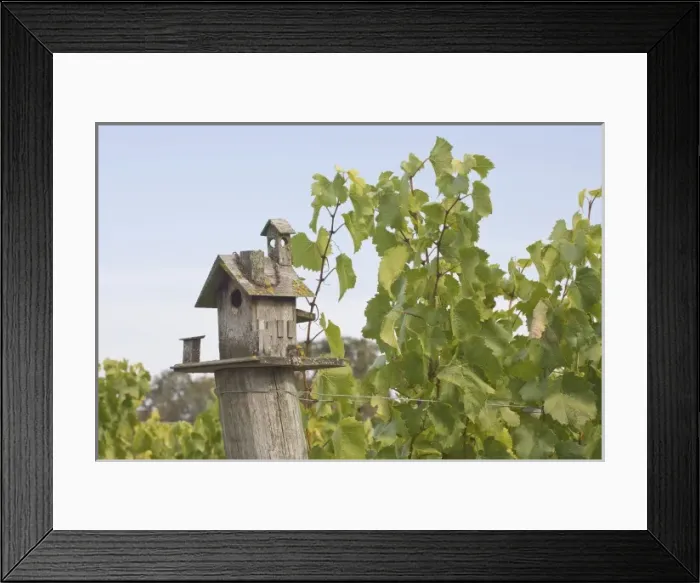 Framed Print : USA, North America, Oregon Framed Print : USA, North America, Oregon