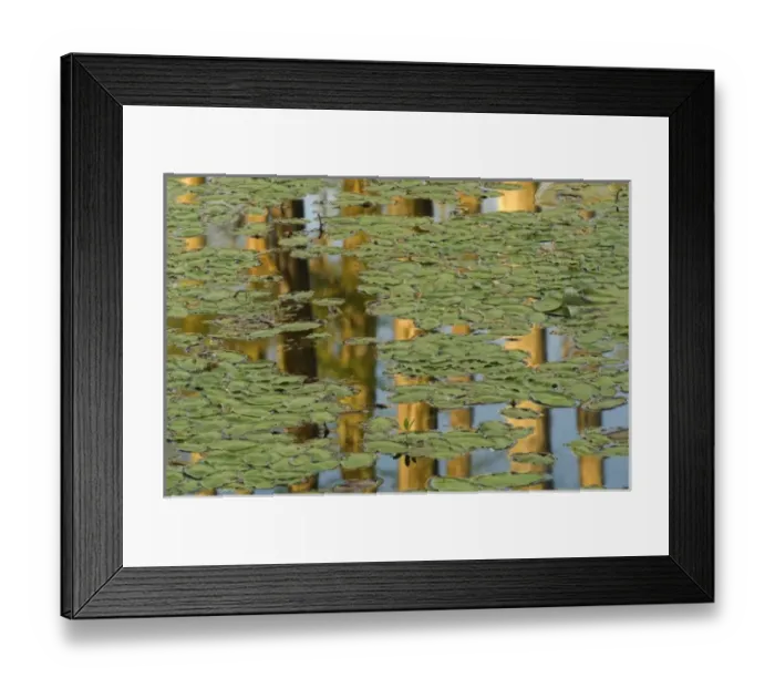 Framed Print : USA, North America, South Carolina Framed Print : USA, North America, South Carolina