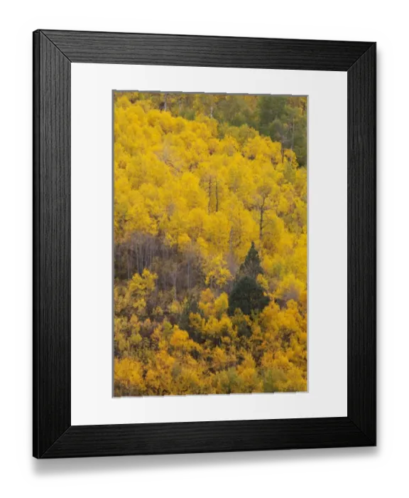 Framed Print : USA, North America, Utah Framed Print : USA, North America, Utah