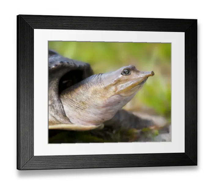 Framed Print : USA, North America, New Jersey Framed Print : USA, North America, New Jersey