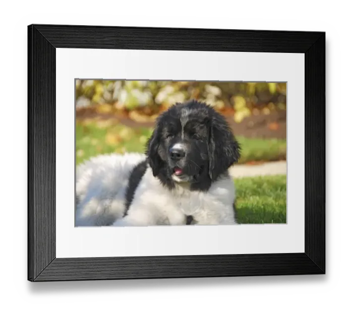 Framed Print : USA, North America, Oregon Framed Print : USA, North America, Oregon