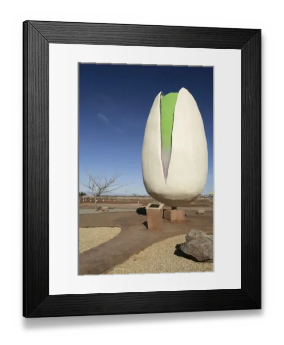 Framed Print : Alamogordo, New Mexico. United States. Pistachio farm and home of the world s Framed Print : Alamogordo, New Mexico. United States. Pistachio farm and home of the world s