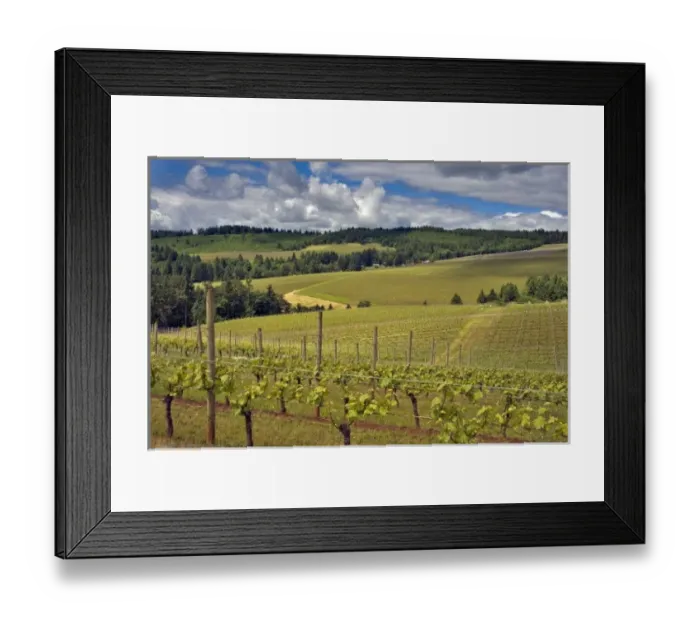 Framed Print : USA, North America, Oregon