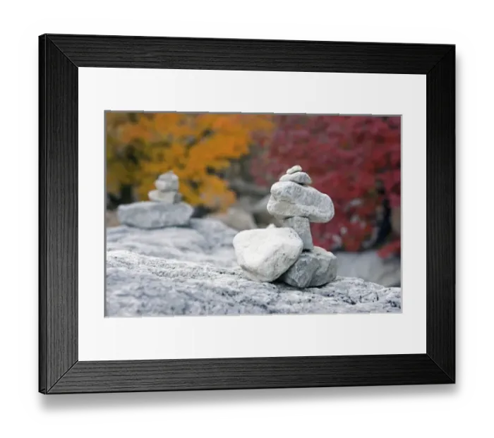 Framed Print : USA, Texas, Guadalupe Mountains National Park. Kerns on a Guadalupe Mountains National Framed Print : USA, Texas, Guadalupe Mountains National Park. Kerns on a Guadalupe Mountains National