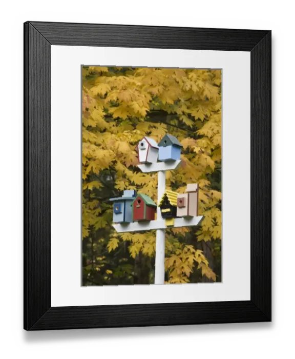 Framed Print : USA, North America, Washington Framed Print : USA, North America, Washington