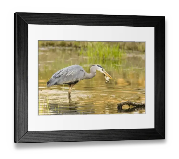 Framed Print : USA, North America, Oregon Framed Print : USA, North America, Oregon