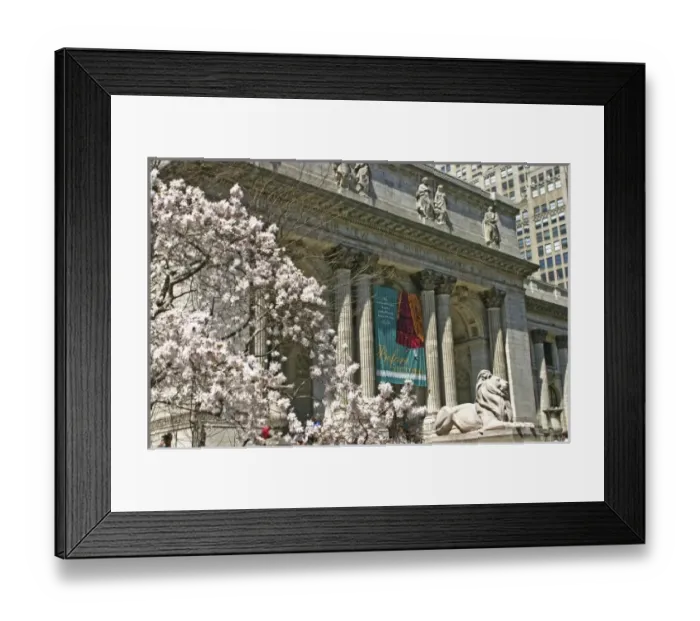 Framed Print : USA, North America, New York Framed Print : USA, North America, New York