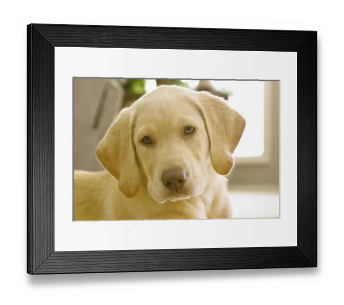Framed Print : USA, North America, Oregon Framed Print : USA, North America, Oregon