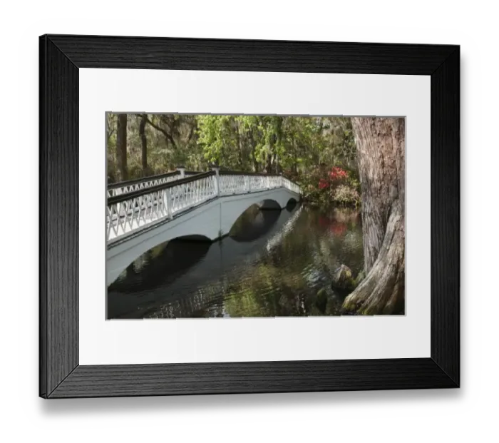 Framed Print : USA, North America, South Carolina