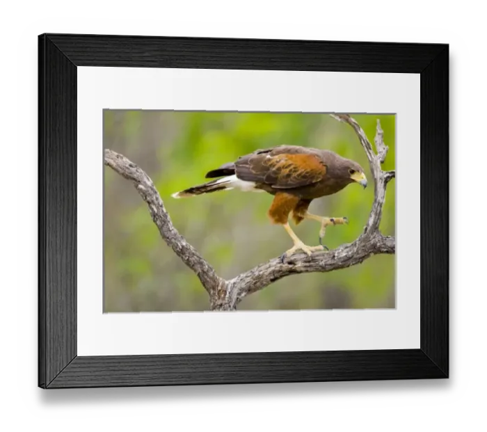 Framed Print : USA, North America, Texas Framed Print : USA, North America, Texas