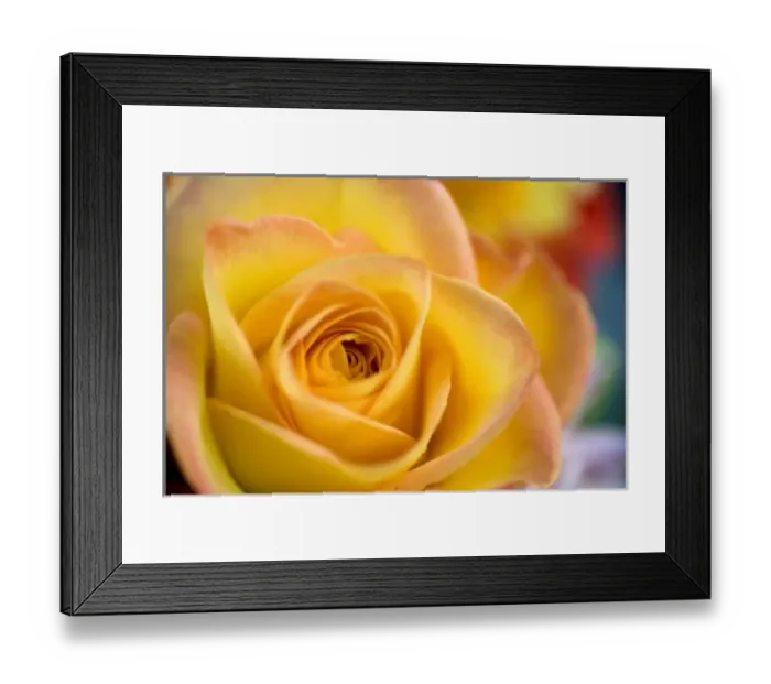 Framed Print : USA, North America, Oregon