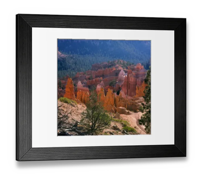 Framed Print : North America, USA, Utah, Bryce Canyon, N. P. Spires and Pinacles