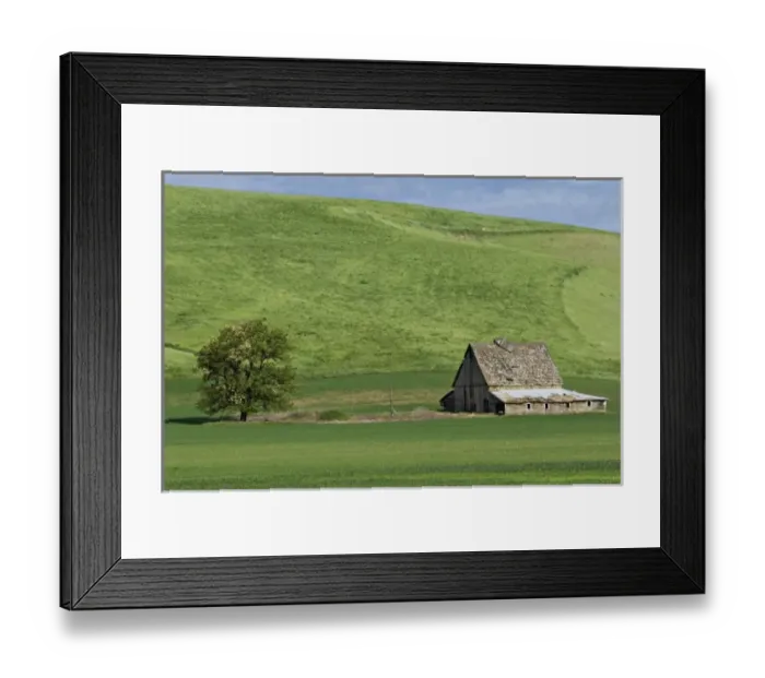 Framed Print : North America, USA, Washington, Palouse area. Barn near St. John