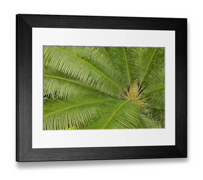 Framed Print : USA, North America, Pennsylvania