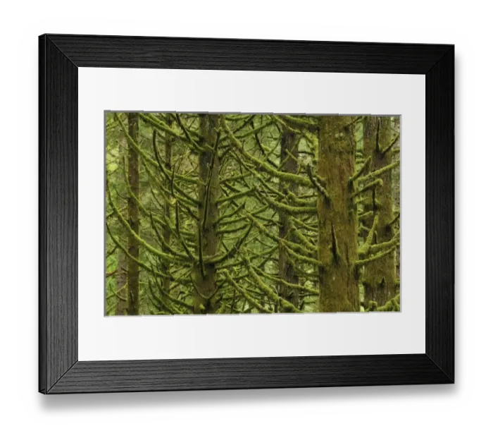 Framed Print : USA, North America, Oregon Framed Print : USA, North America, Oregon