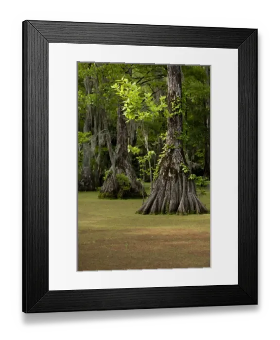 Framed Print : USA, North America, North Carolina Framed Print : USA, North America, North Carolina