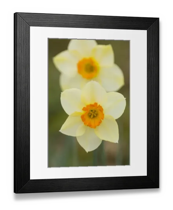 Framed Print : USA, North America, Virginia