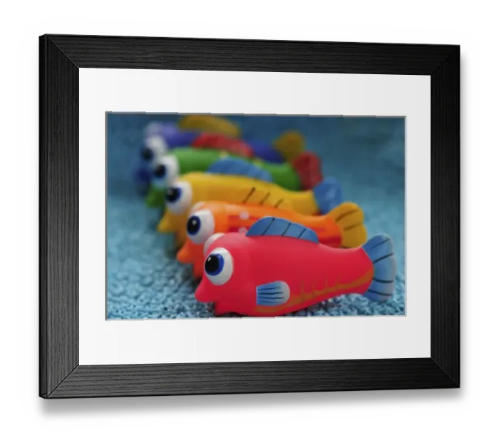 Framed Print : USA, Oregon, Portland. Close-up of colorful fish bathtub toys