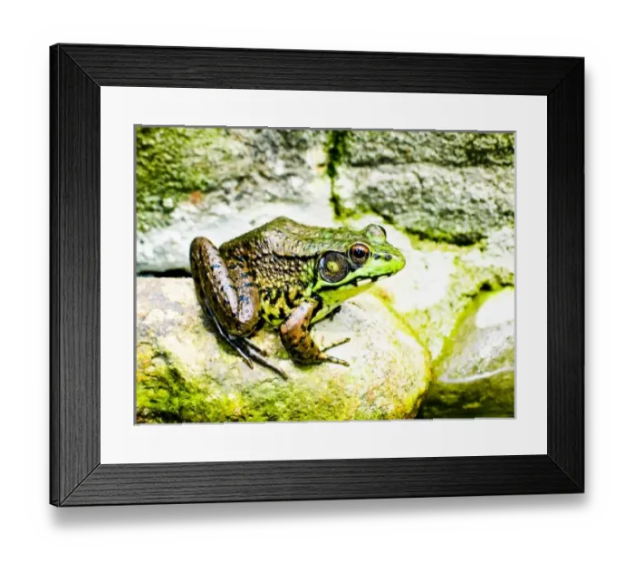 Framed Print : USA, North America, New Jersey