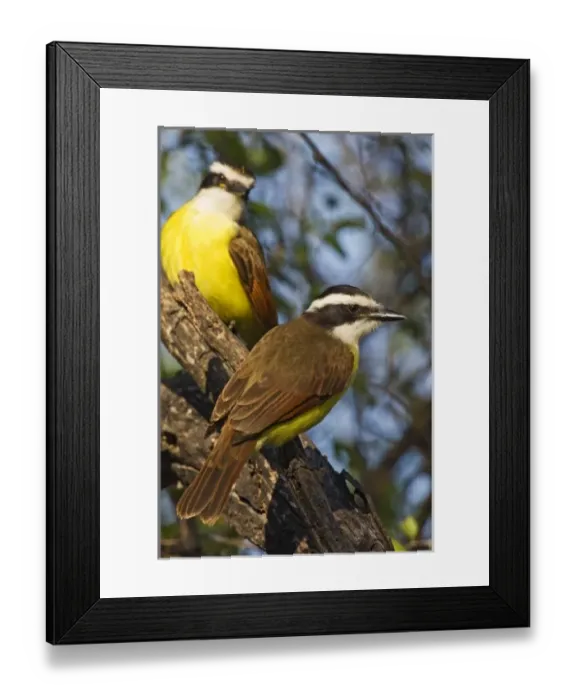 Framed Print : USA, North America, Texas Framed Print : USA, North America, Texas