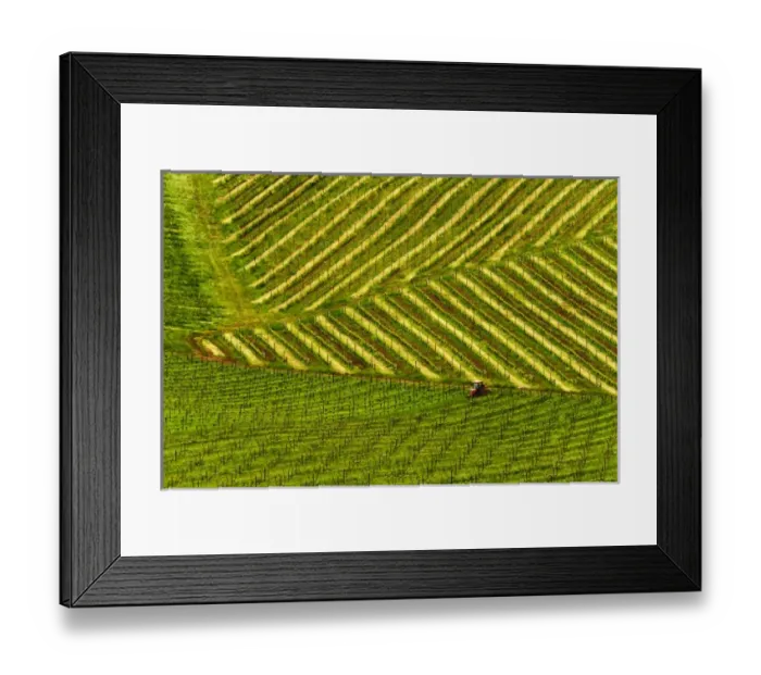 Framed Print : USA, North America, Oregon Framed Print : USA, North America, Oregon