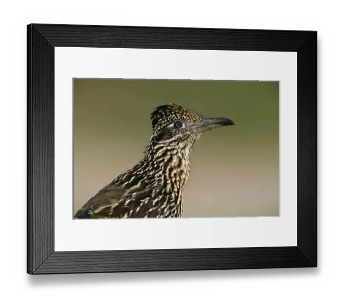 Framed Print : USA, North America, Texas Framed Print : USA, North America, Texas