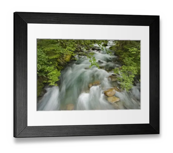 Framed Print : USA, North America, Washington