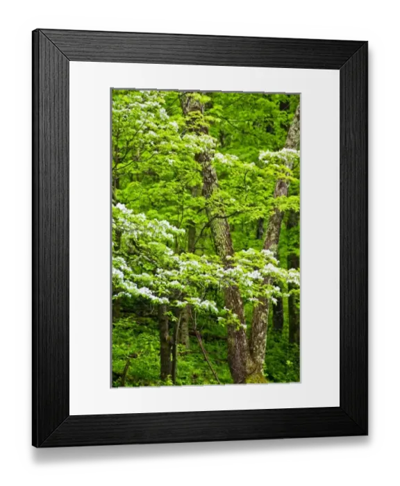 Framed Print : USA, North America, Virginia Framed Print : USA, North America, Virginia