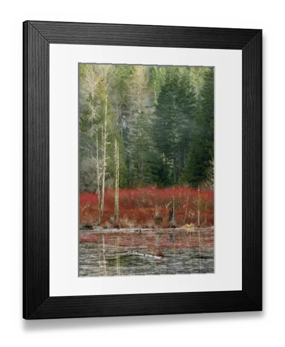 Framed Print : USA, Washington, Belfair. Pond near Sand Hill Road Framed Print : USA, Washington, Belfair. Pond near Sand Hill Road