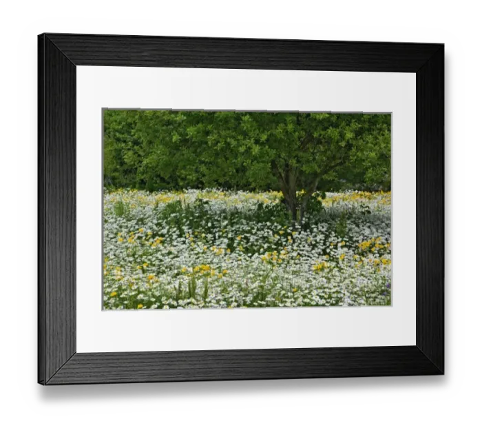 Framed Print : USA, North America, North Carolina Framed Print : USA, North America, North Carolina
